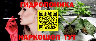 прущие крисы Ливны