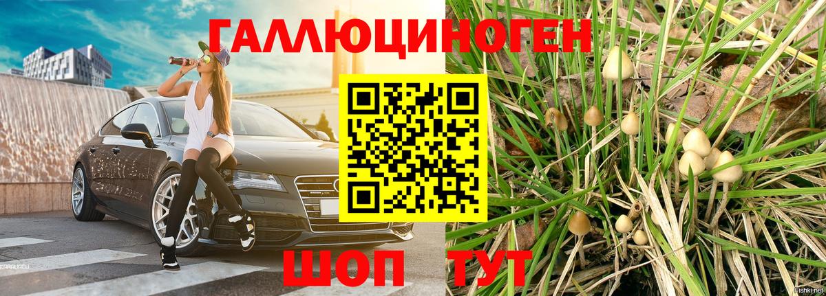 Псилоцибиновые грибы Psilocybine cubensis  купить наркотики цена  Жигулёвск  Галлюциногенные грибы Magic Shrooms  Вход с VPN 