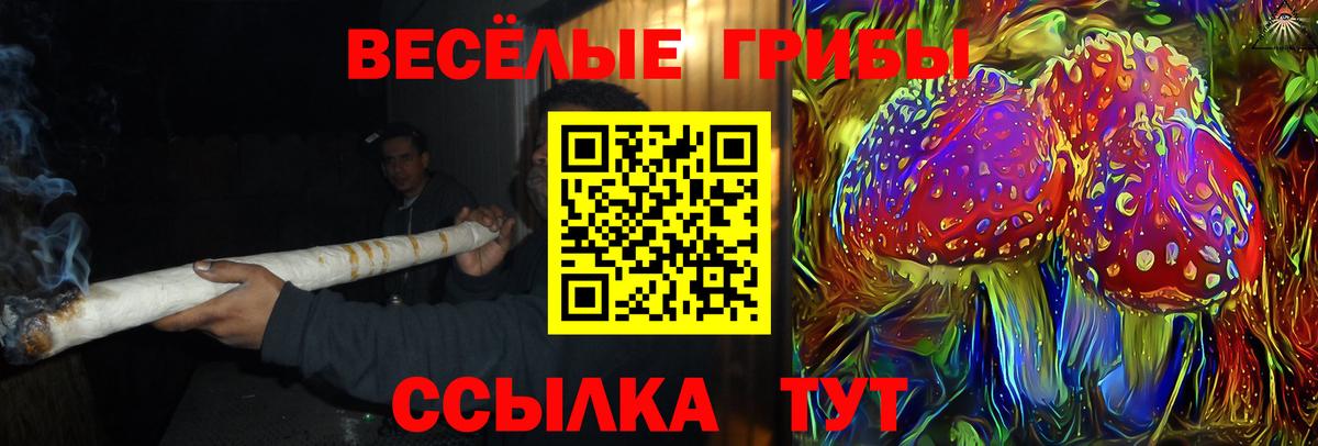 Галлюциногенные грибы Magic Shrooms Жигулёвск